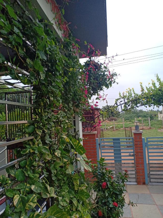 Mango Tree Homestay Хампи Экстерьер фото