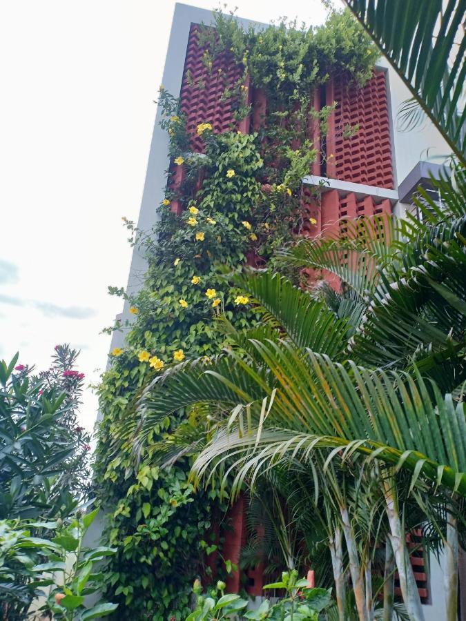 Mango Tree Homestay Хампи Экстерьер фото