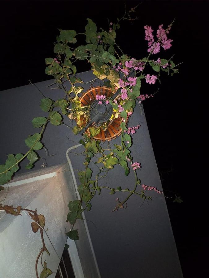 Mango Tree Homestay Хампи Экстерьер фото
