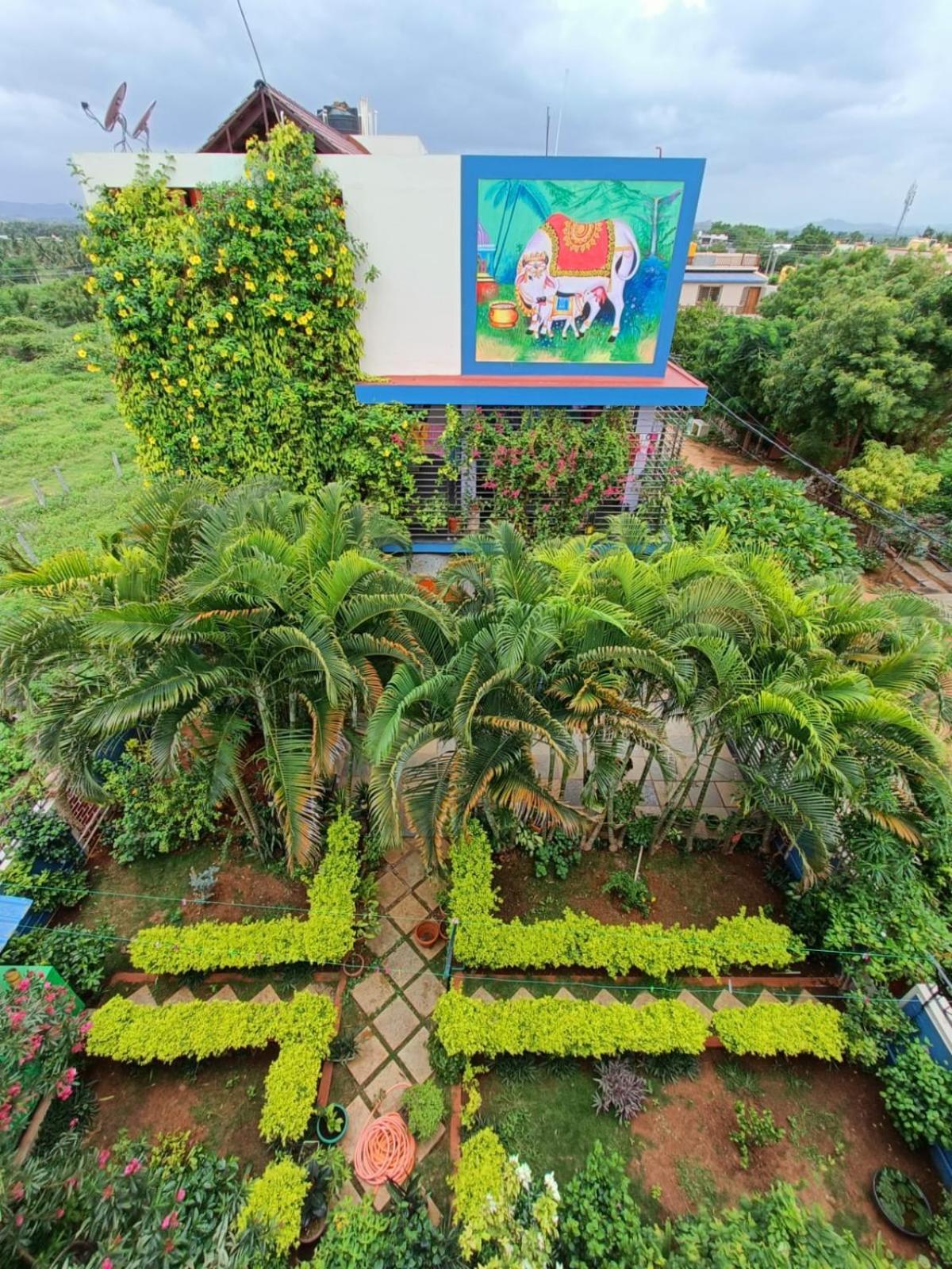 Mango Tree Homestay Хампи Экстерьер фото